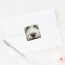 Search for dog nose stickers Cute
