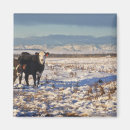 Search for looking at camera magnets Rural scene