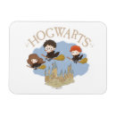 Search for broomstick magnets Magic