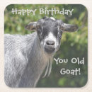 Search for goat coasters Birthday