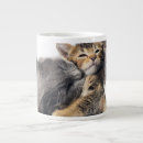 Search for tabby kitten mugs Affectionate