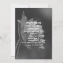 Search for sunlit Floral