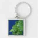 Search for topics key rings Nature