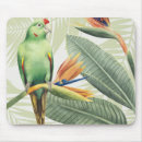 Search for foilage mouse mats Bird