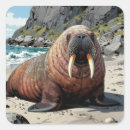 Search for walrus stickers Ocean