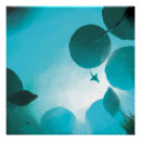 Search for aquatic posters Ocean