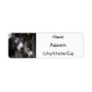 Search for donkey return address labels Burro