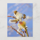 Search for two bees postcards Plant