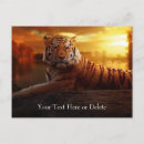 Search for wild tiger postcards Cat