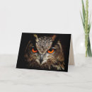 Search for owl bird cards Great horned owl
