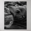 Search for wildlife posters Beach