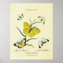 Search for vintage biology posters Botanical