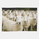 Search for farm animals tea towels Wool