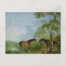 Search for c18th postcards Rural