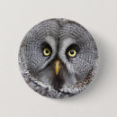 Search for hoo badges Owl