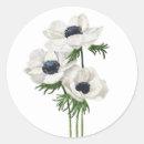 Search for blue anemone stickers White