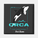 Search for orca whale magnets Ocean