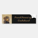 Search for dachshund bumper stickers Dog