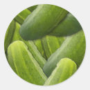 Search for pickles stickers Canning