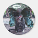 Search for winged cat magnets Pet