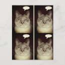 Search for moody postcards Cat