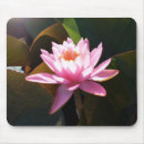 Search for lilypad mouse mats Waterlily