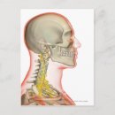 Search for rendering postcards People