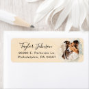 Search for shetland sheepdog return address labels Watercolor