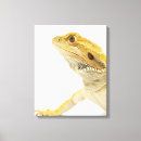Search for bearded dragon art Shells