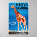 Search for safari animals posters Giraffe