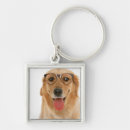 Search for three animals key rings Front view