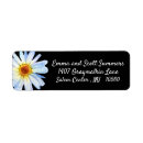 Search for daisy flowers return address labels Trendy