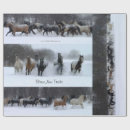 Search for trail wrapping paper Snow