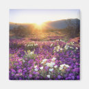 Search for state park magnets Scenic