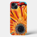 Search for burst cases Flowers