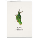 Search for parrotlet Green