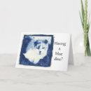 Search for tortoiseshell cards Calico
