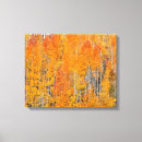 Search for danita delimont canvas prints Fall