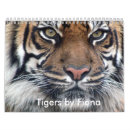 Search for tiger calendars Big cat