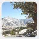 Search for yosemite national park stickers Outdoors