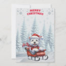 Search for sledding christmas cards Snow