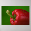 Search for paprika posters Food