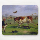 Search for pastime mouse mats Henry
