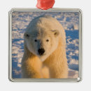 Search for refuges christmas tree decorations North america