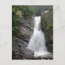 Search for rain forest vertical postcards Waterfall