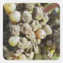 Search for noble stickers French