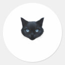 Search for crazy face stickers Black cats