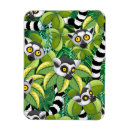 Search for lemur magnets Madagascar