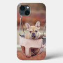 Search for bulldogs iphone cases Pet