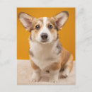 Search for corgi postcards Queen elizabeth's